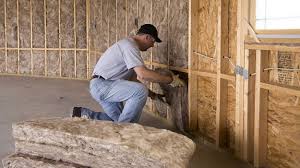 Best Fireproof Insulation  in Nisswa, MN