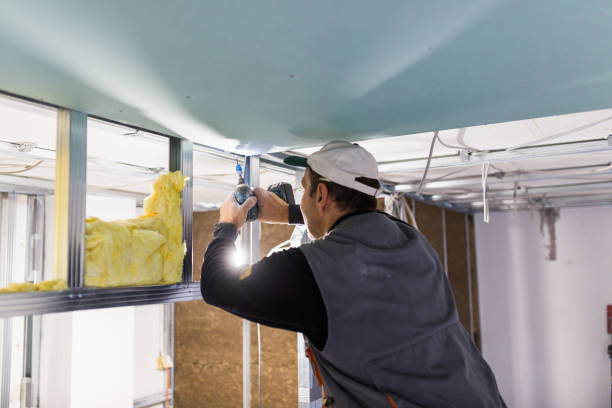 Best Basement Insulation  in Nisswa, MN