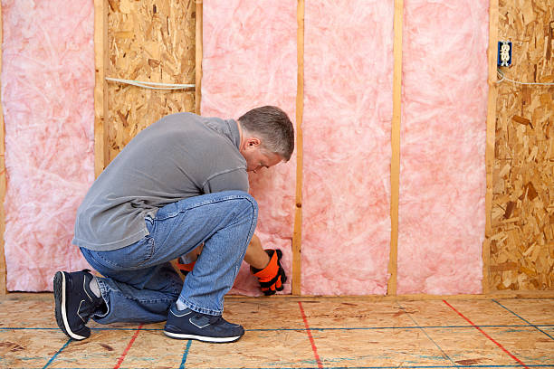 Best Soundproof Insulation  in Nisswa, MN